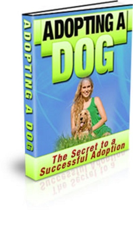 Product picture Adopting A Dog: The Secret To A Successful Adoption