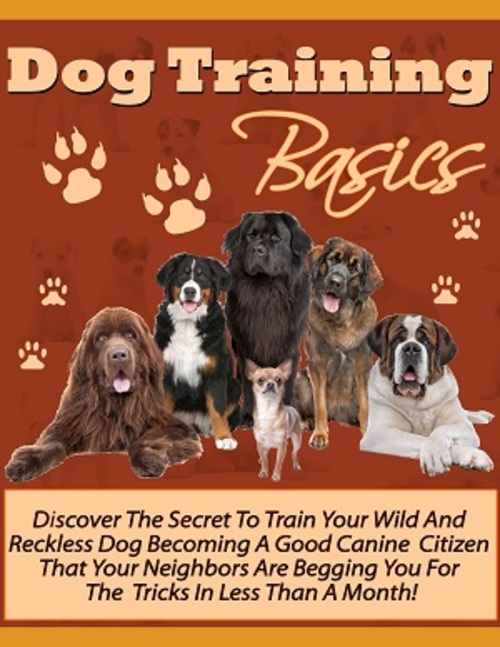 Product picture Dog Training Basics