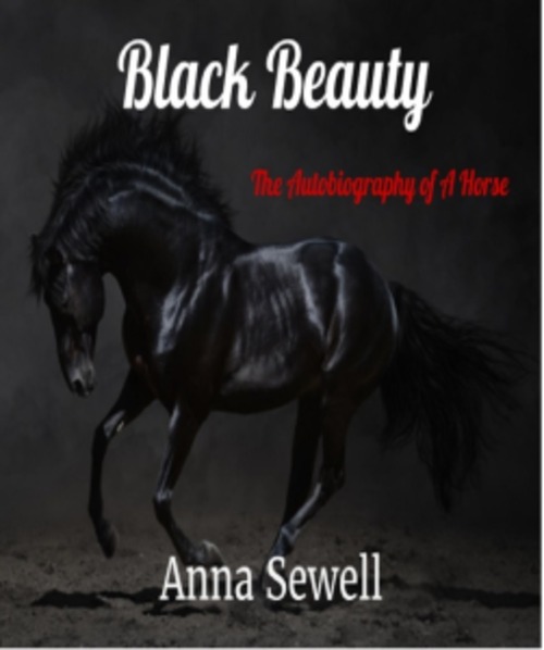 Product picture Black Beauty by Anna Sewell